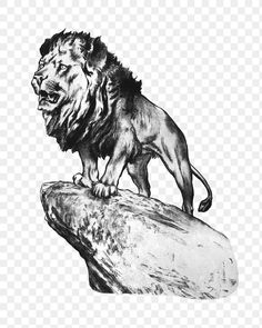 a black and white drawing of a lion standing on a rock with its mouth open