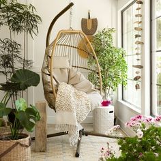 a room filled with lots of potted plants next to a window and hanging chair