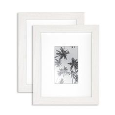 two white frames with black and white palm trees in the foreground, against a white background