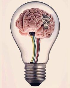 a lightbulb with a brain inside of it and wires coming out of the bulb