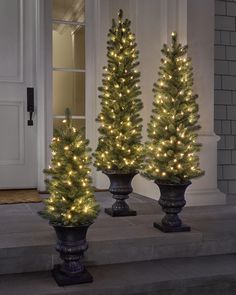 three potted christmas trees with white lights on the front steps in front of a house