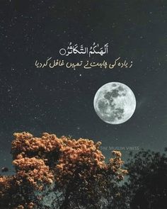 the moon is shining in the night sky above some trees and bushes with arabic writing on it