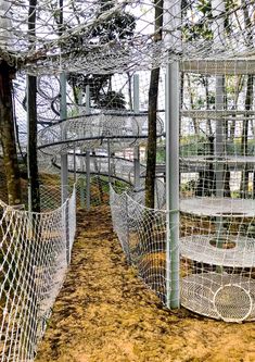 an outdoor area with several circular chairs in the center and trees around it, all covered by netting