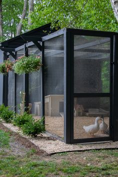 there is a chicken coop in the yard with two chickens and one bird inside it