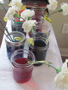 several jars filled with different colored liquids on a table