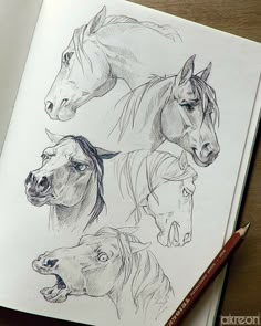 a book with drawings of horses on it and a pencil in front of the pages