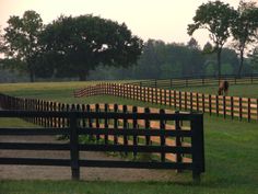 a horse is standing in the grass behind a fenced in area with wooden posts