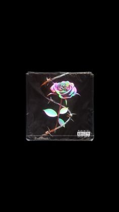 a black album cover with a pink rose on the front and green leaves on the back