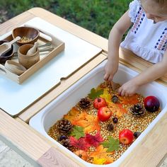 This Fall activity for toddlers is a fun way to enjoy all things Autumn! This set up is great for sensory play and fine motor skills! Teaching Colors To Toddlers, Autumn Sensory Bin, Toddler Activties, Teaching Toddlers Colors, Fall Sensory Bin, Fall Activities For Toddlers, School Core, Forest School Activities, Bunny Room