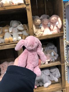 a person is holding a pink stuffed animal in front of shelves with other stuffed animals