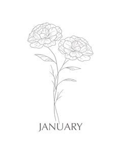 a drawing of two flowers with the word january written in black ink on a white background