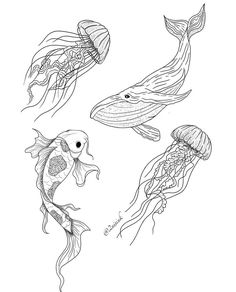 four different types of jellyfish in black and white, with one fish swimming next to the other