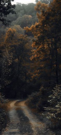 a dirt road in the middle of a forest with yellow trees on both sides and dark clouds overhead