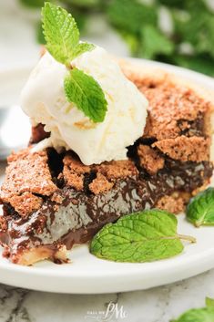 a slice of chocolate pie with ice cream on top and mint leaves around the edges