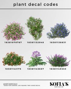 an image of different types of plants