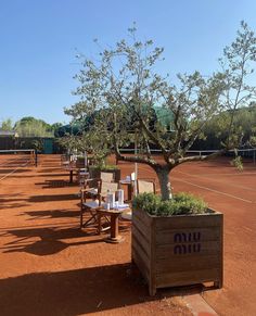 several tables and chairs are lined up on the tennis court with an olive tree in the middle