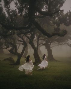 two women in white dresses are walking through the foggy woods with trees behind them