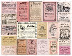 many different types of wine labels