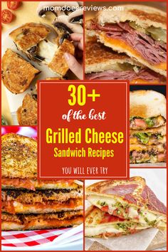 the best grilled cheese sandwich recipes you will ever try