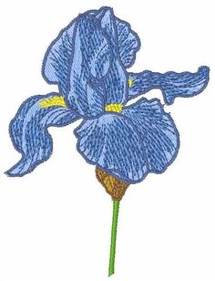 a blue flower with yellow stamens is shown in the middle of this embroidery design