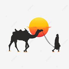 a man walking with a camel in the desert, silhouette, illustration png and psd