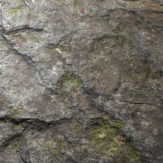 an animal that is laying down on the ground next to some rocks with moss growing on it's sides