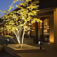 a lighted tree in a planter on the side of a building