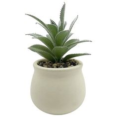 a small potted plant with green leaves in it on a white surface, isolated against a white background