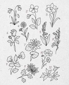 flowers are shown in black and white, with numbers on the bottom left side of the image