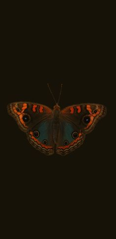 Imagem de uma borboleta com asas de extremidades laranjas com azul no centro, o fundo é um marrom escuro. Wallpaper Aesthetic Butterflies, Brown Orange Wallpaper, Moth Wallpaper, Orange And Black Butterfly, Flipagram Instagram, Hippie Painting, Orange Wallpaper