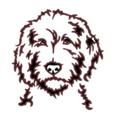 About The Bernedoodles | The Bernedoodles