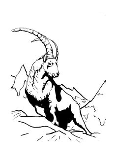 a black and white drawing of a ram running