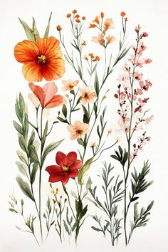 watercolor painting of flowers on white background