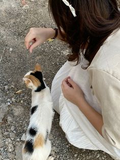 a woman petting a cat on the ground