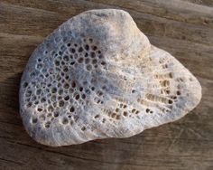 a white rock sitting on top of a wooden table