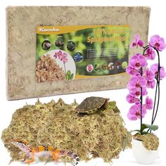 7oz Natural Sphagnum Moss for Plants - Orchid Potting Mix Peat Moss Carnivorous Dried Bark for Sarracenia, Gardening Succulents Reptiles Decorating Terrariums Potted Propagation 10QT Orchid Potting, Orchid Potting Mix, Moss Plant, Sphagnum Moss, Peat Moss, Small Plants, Lawn Garden, Reptiles, Terrarium