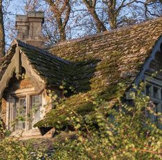 an old house with moss growing on it's roof and windows, surrounded by trees