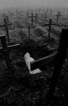 a cemetery with several crosses in the ground and foggy sky above it, as well as an empty roll of toilet paper lying on the ground