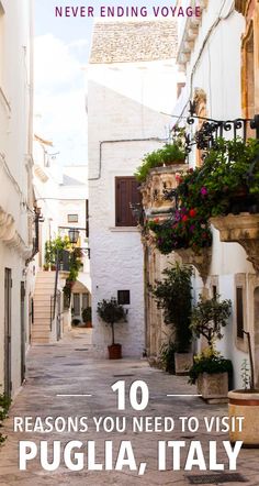 an alleyway with flowers and potted plants on the side, in white buildings