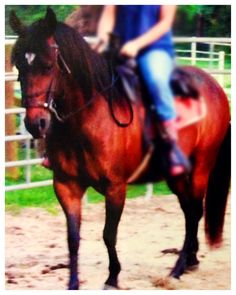 a woman riding on the back of a brown horse