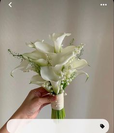 a hand holding a bouquet of white flowers