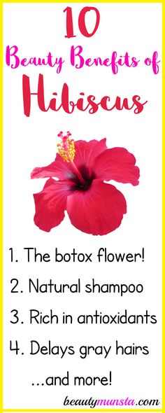 Hibiscus For Hair, Hibiscus Benefits, High Porosity Hair Care, Benefits Of Hibiscus, Hibiscus Hair, Hair Growth Remedies, High Porosity Hair, Rose Face Mask, Glowing Skin Mask