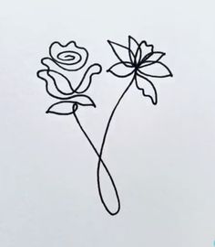 a drawing of two flowers on a white sheet with black ink, and the outline of one flower