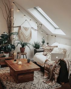 a room with a couch, coffee table and potted plants on the floor in it