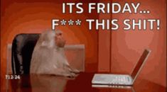 Good Morning Team, Hello Funny, Friday Memes, Tgif Funny, Working Person, Funny Friday Memes