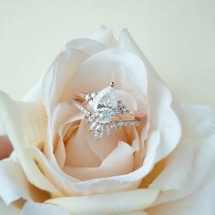 a white rose with two engagement rings on it