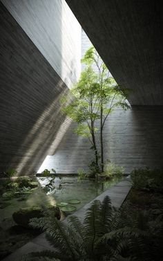 the inside of a building with water and plants in it, as well as trees