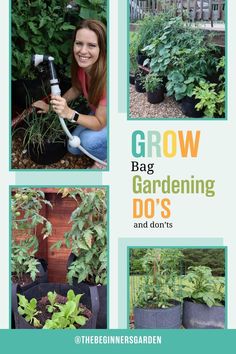 grow bag gardening Grow Bag Garden, Garden Hacks, Thriving Garden, Grow Bags, Do's And Don'ts, Summer Vegetable, Potting Soil