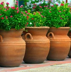 four large clay pots with flowers in them