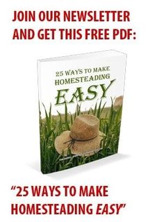 an easy way to make homestaing easy with the help of email blowouts